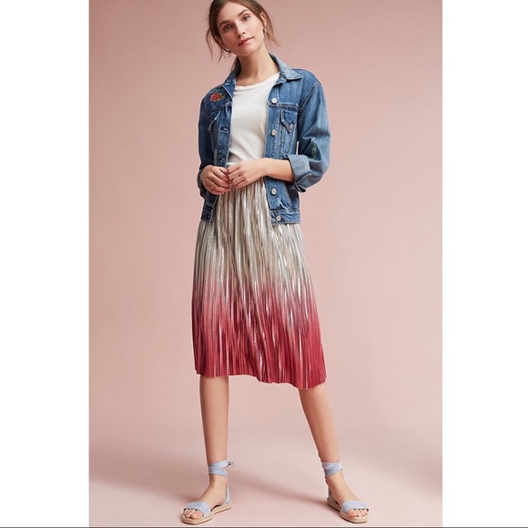 Anthropologie Ombre Pleated skirt - Picture 12 of 16